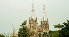 Ilustrasi erek burung gereja